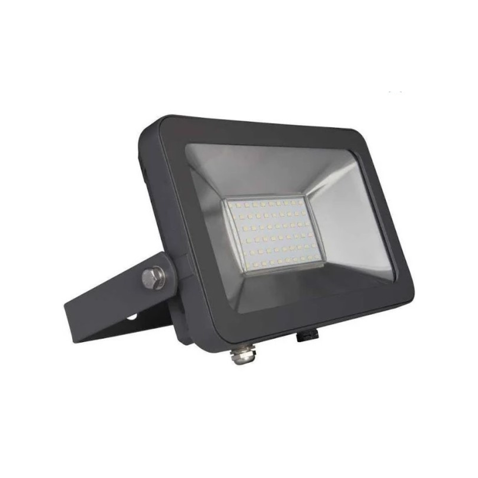LP405 50 Watt Projektör