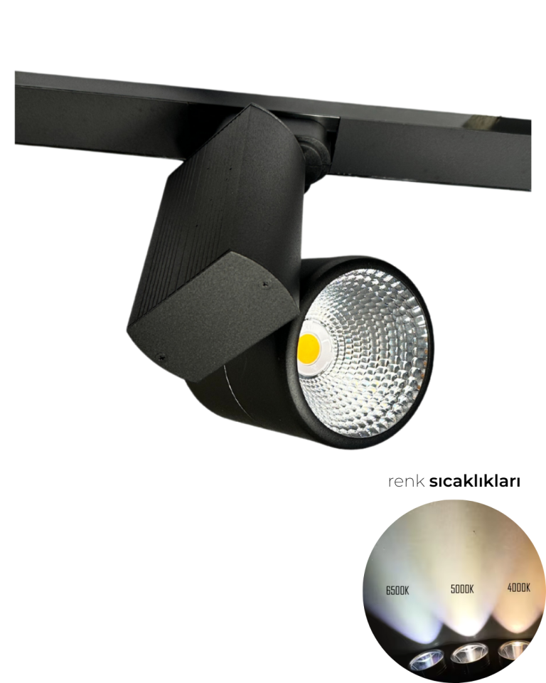 30 Watt Ray Spot