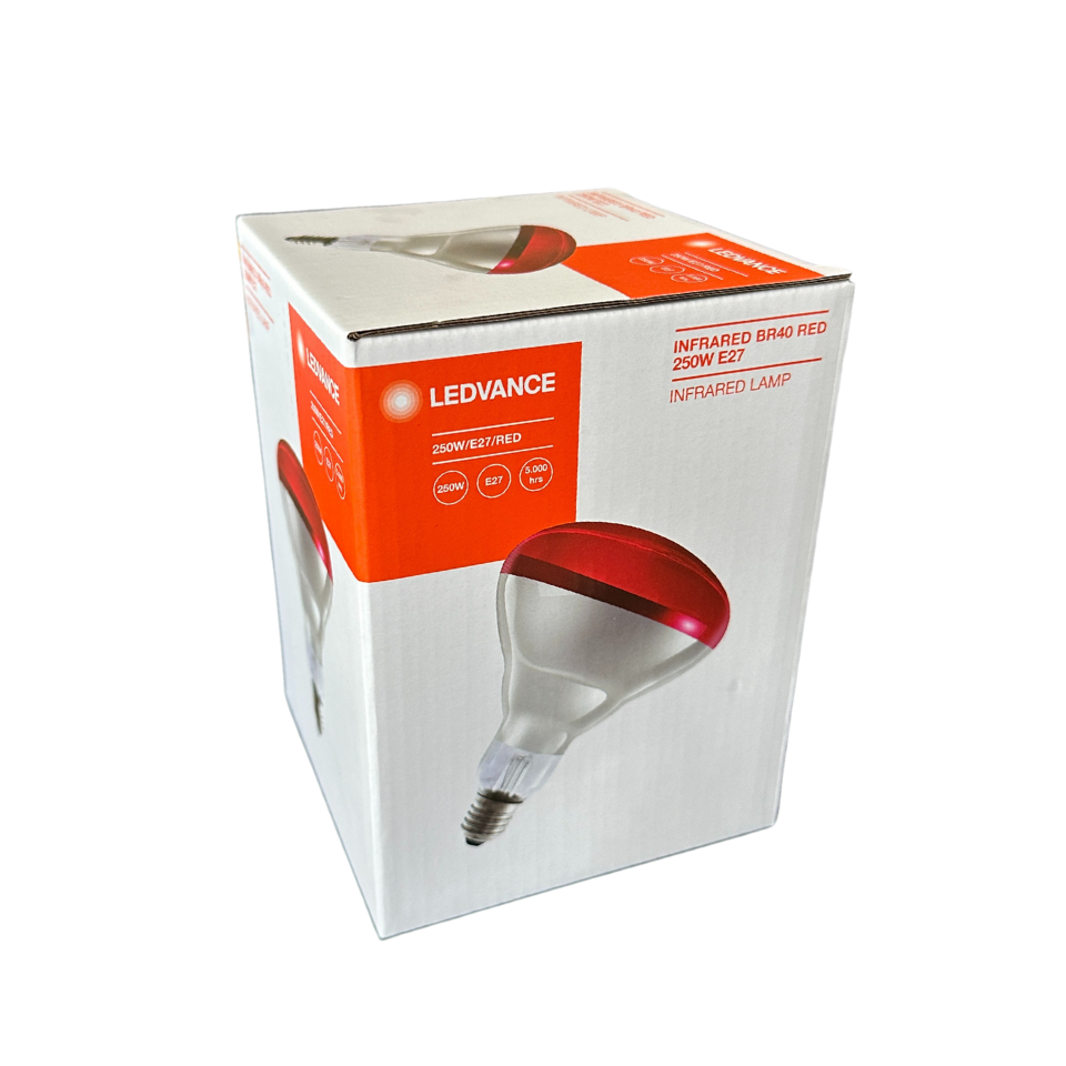 Ledvance 250W Infrared Kırmızı Ampul